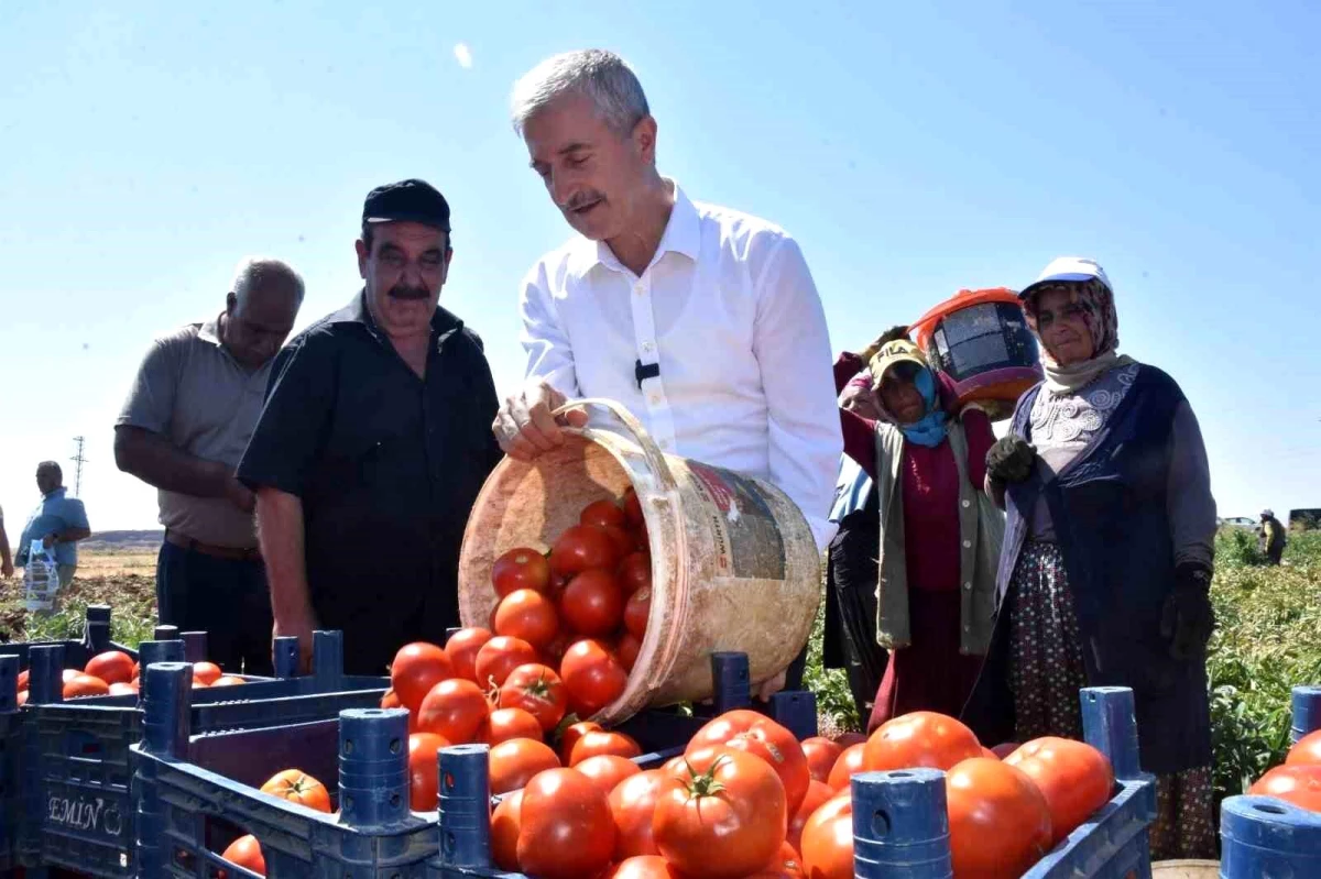 Şahinbey Belediyesi Tarım Projeleriyle Çiftçilere Destek Oluyor