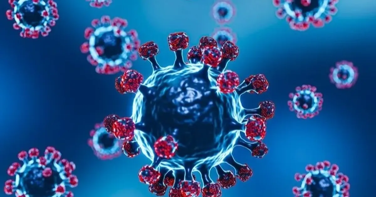 frankenstein varyanti covid 19da yeni tehlike hktjy2MN