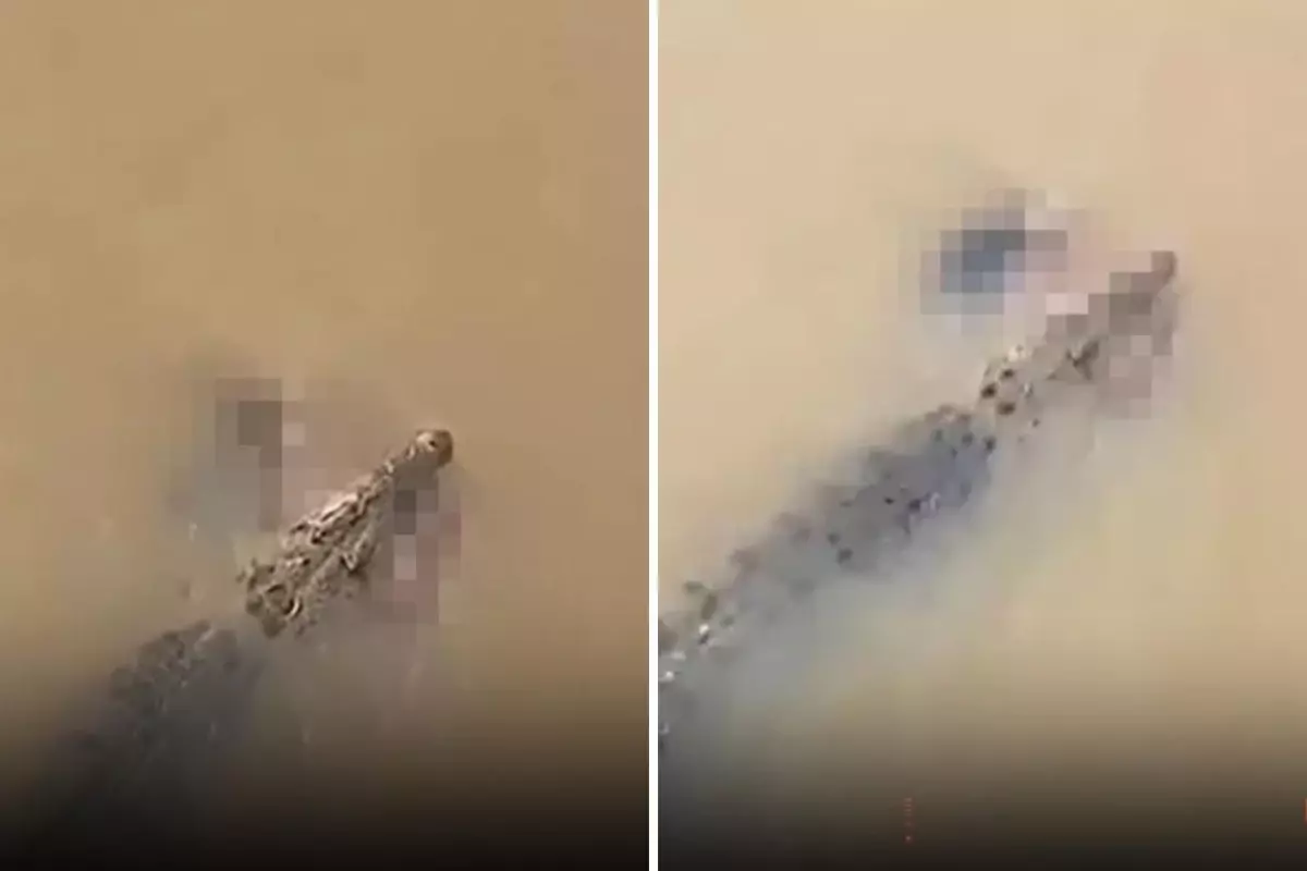 timsah nehirde yikanan kadini suya cekerek olurdu 7CAQmxNp