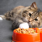 atlas-featured-16618-1775818415-f3ored