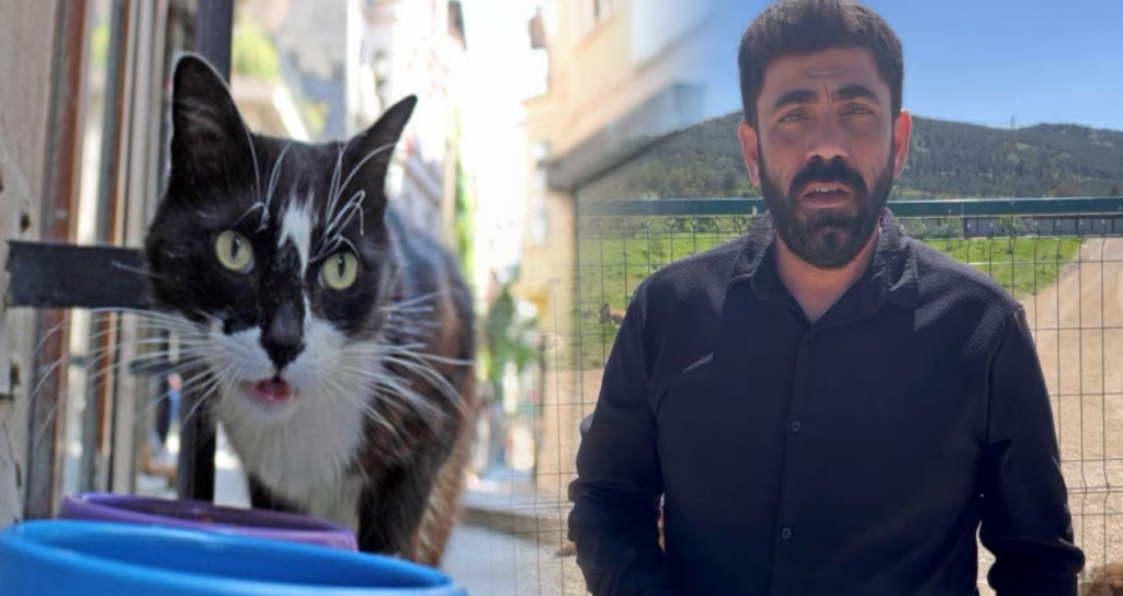 sokak-kedisini-oldurmenin-cezasi-5-ay-hapis-o-da-ertelendi-MlalMQjj