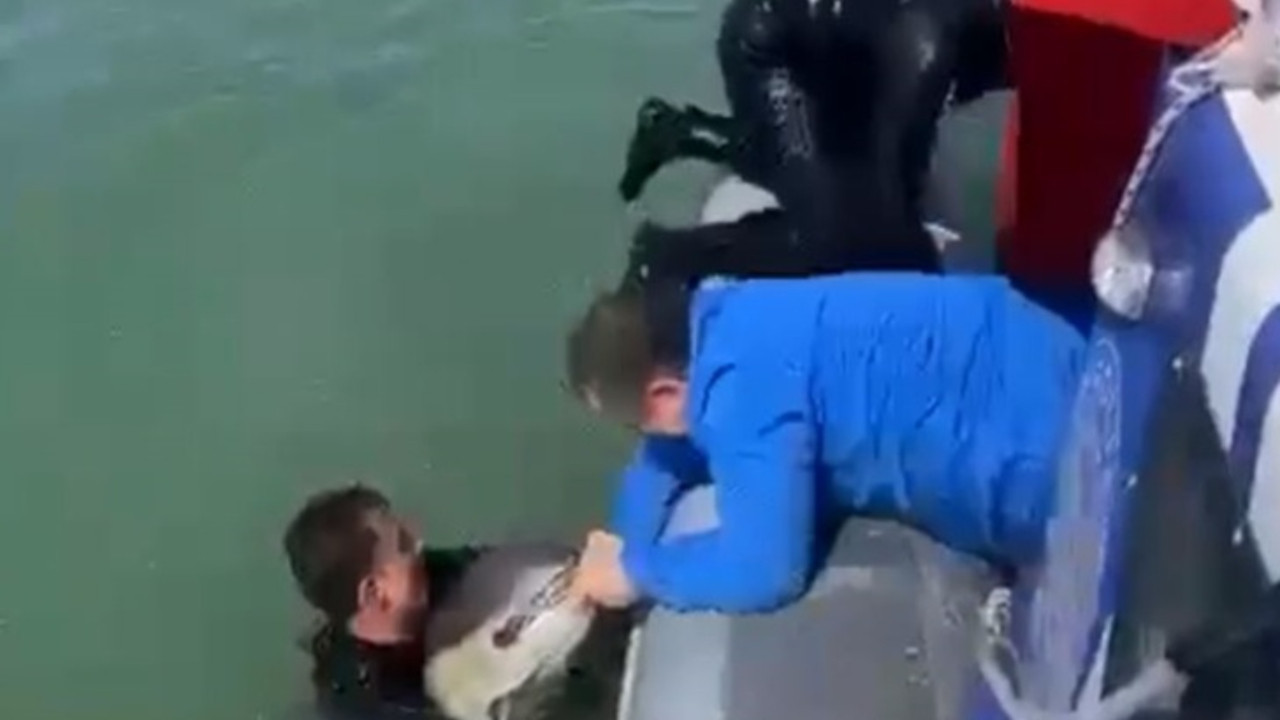 Zorda Kalan Yunus, Polis Ekiplerinin İhtiyaç Duyduğu Müdahale ile Kurtarıldı