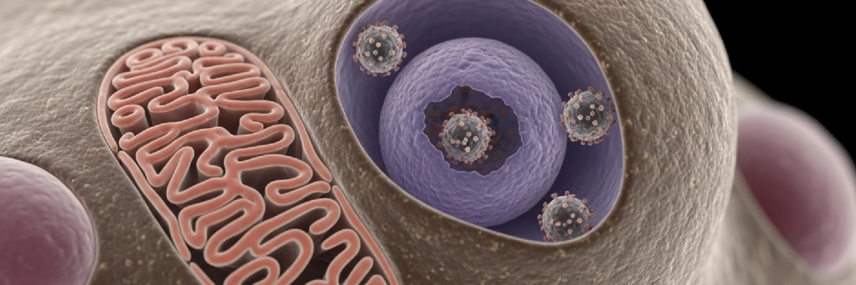 HPV Aşısı ve Önemi: Bilmeniz Gereken Her Şey