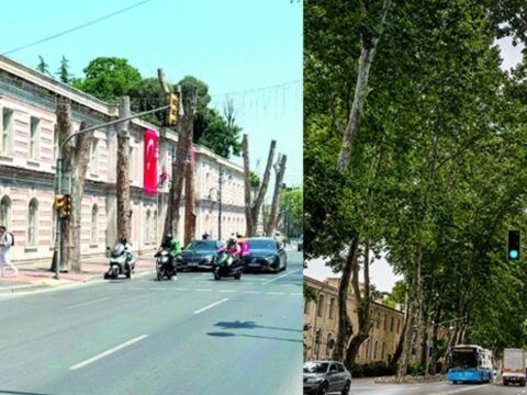 Istanbulun simgesinde goz gore gore gelen felaket ibbnin hatasi asirlik mirasi curuttu GGlnszjc